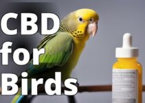 Birds And Cbd: Understanding The Benefits And Risks