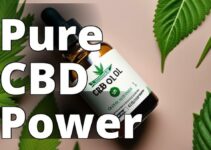 The Power Of Cannabidiol Oil: A Comprehensive Guide For Health And Wellness