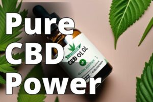 The Power Of Cannabidiol Oil: A Comprehensive Guide For Health And Wellness