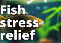 Cannabidiol For Fish: A Complete Guide To Benefits And Risks