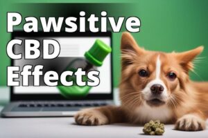 The Benefits Of Cannabidiol For Pets: A Comprehensive Guide
