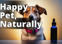 The Benefits Of Cannabidiol For Your Pet’S Overall Wellness: A Complete Guide