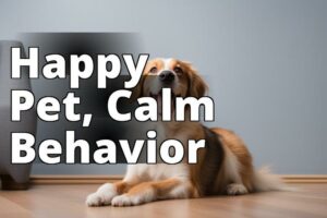 How Cannabidiol Can Help Improve Your Pet’S Behavior: A Comprehensive Guide