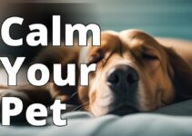 Cbd Oil For Pet Anxiety: The Ultimate Guide To A Calmer, Happier Pet