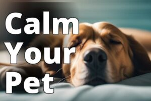 Cbd Oil For Pet Anxiety: The Ultimate Guide To A Calmer, Happier Pet