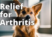 A Comprehensive Guide To Using Cannabidiol For Pet Arthritis Relief