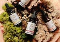5 Key Essential Oils In Cbd For Stress Relief