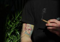 10 Ways Delta-8 Thc Influences Cannabis Quality