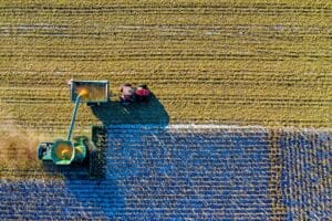 9 Best Practices For Soil Health In Hemp Farming